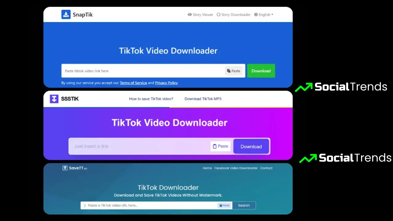 TikTok Archive Guide 3 "Illustration of a user archiving TikTok videos on a laptop using a third-party app interface"