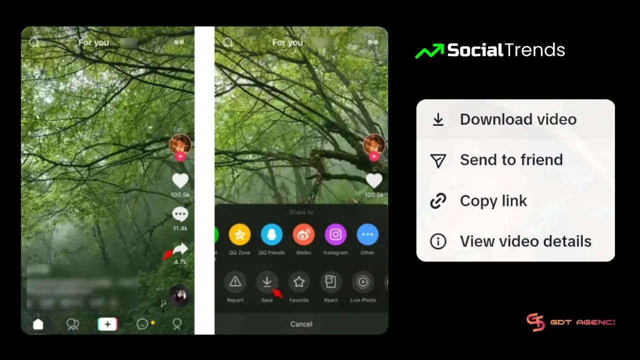 TikTok Archive Guide 2 "User downloading a TikTok video to their smartphone for offline viewing"